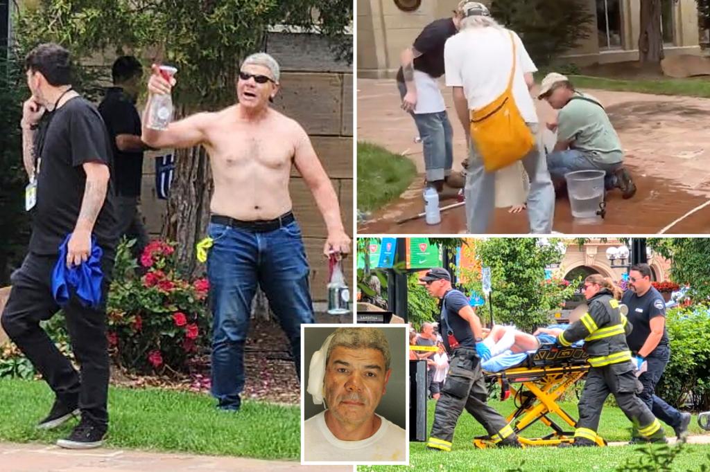 Colorado terror attack suspect Mohamed Sabry Soliman expressed support for the Muslim Brotherhood online.