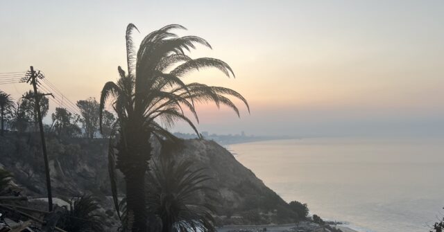 Commission Suggests New Local Management for Palisades, Malibu, and Altadena Following Fire