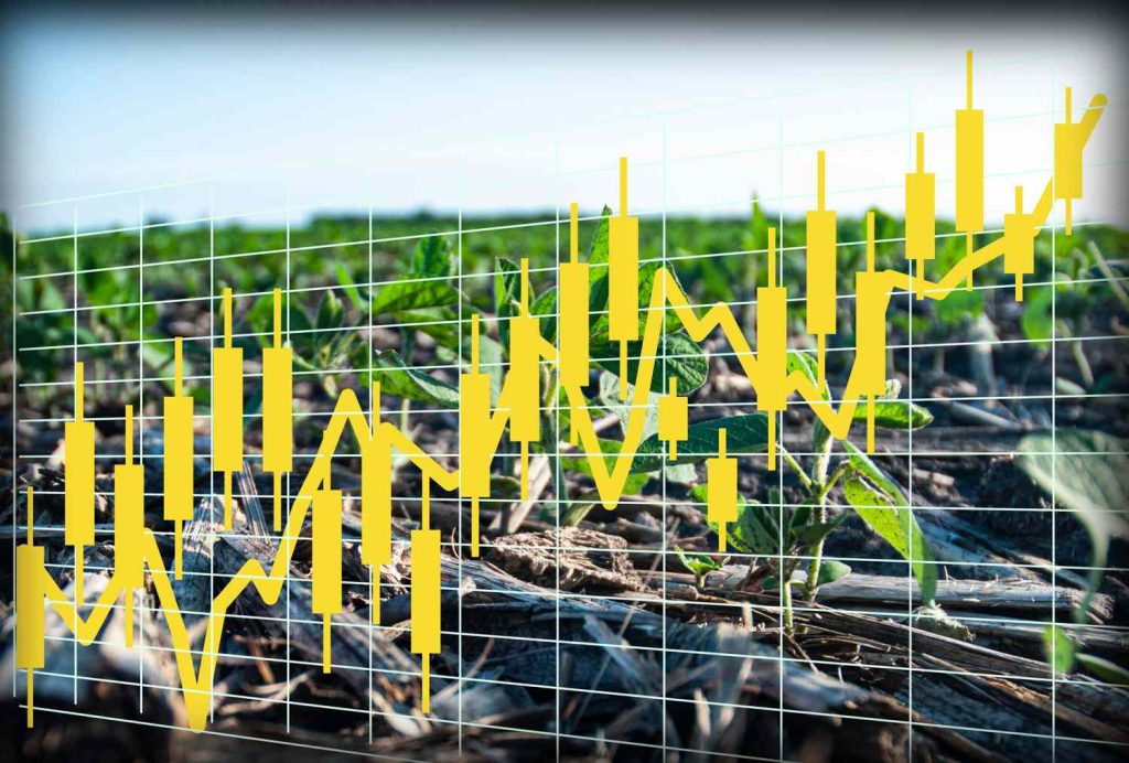 Commodities End the Day on a High Note | Friday, June 6, 2025