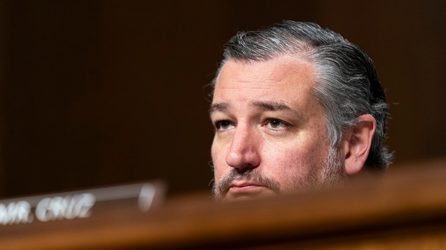 Cruz to reintroduce bill labeling Muslim Brotherhood a terrorist group after Boulder attack