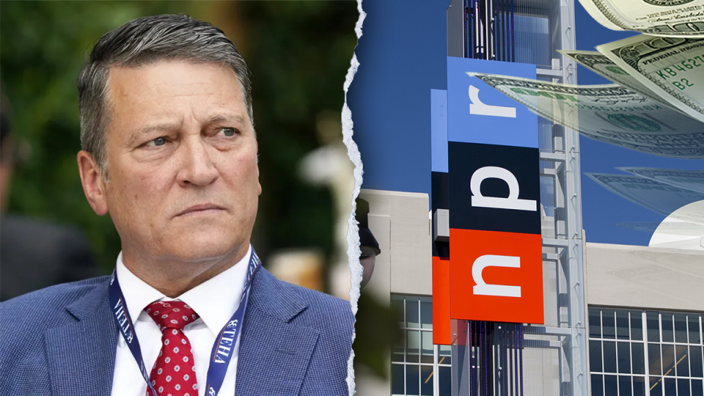 DOGE initiative supports efforts to defund NPR and provides a significant advantage, according to a Texas Republican