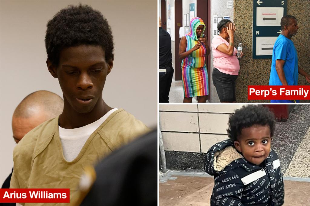 Dad accused of throwing 2-year-old son into Bronx River threatened the child's mother with a knife and confessed to the act, according to prosecutors