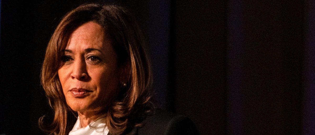 Democratic Donors Not Excited About Kamala Harris Returning