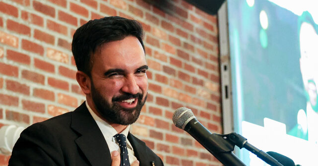 Democratic Representative Cautions That Socialist Zohran Mamdani Is 'Too Radical to Govern' NYC