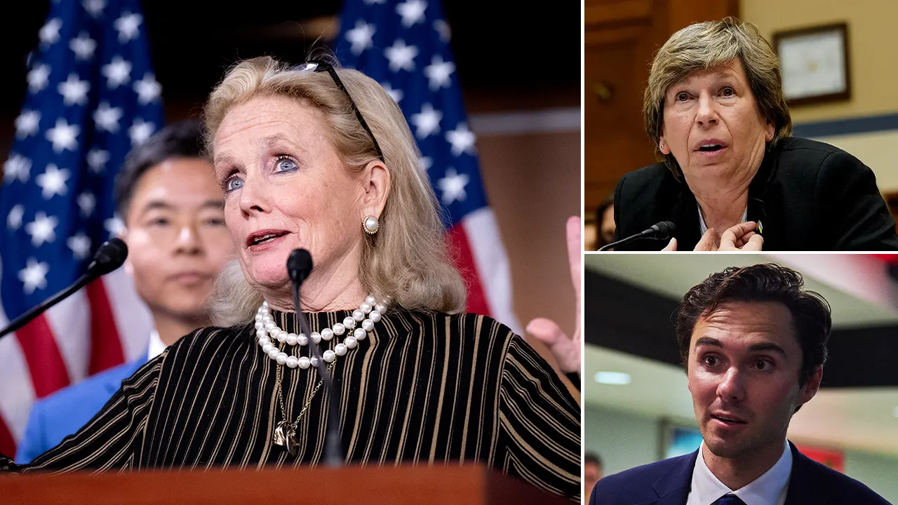 Democrats are upset with the DNC following resignations due to leadership issues and internal conflict.