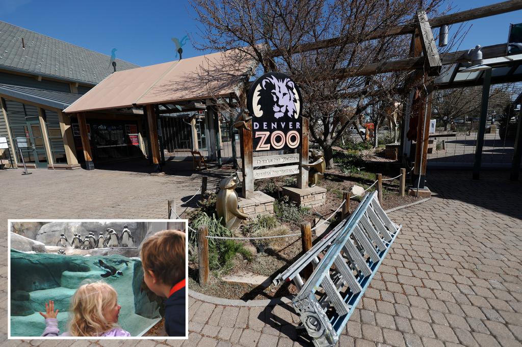 Denver zoo shuts down early over the weekend to stop teens from attempting a TikTok-inspired 'takeover'