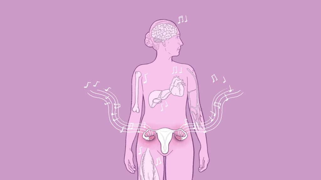 Discover the importance of ovaries and menopause for women's health and longevity.