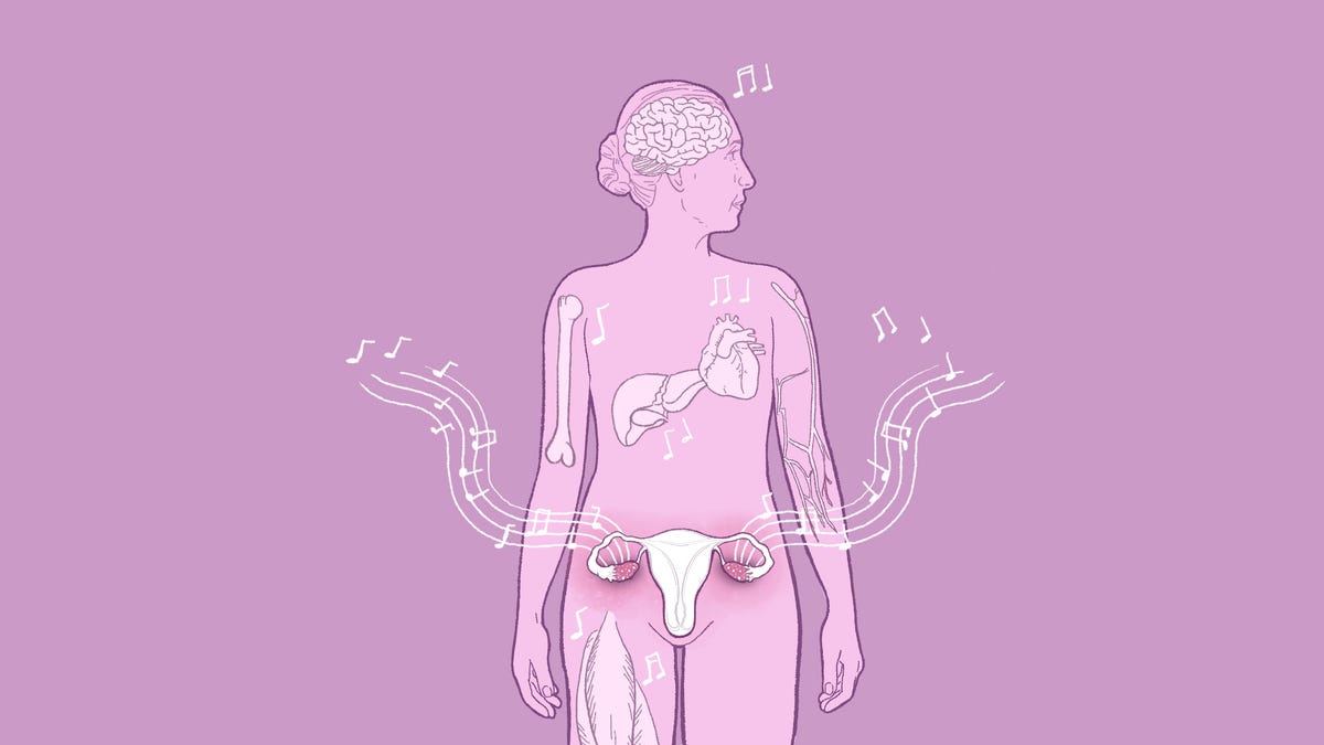 Discover the importance of ovaries and menopause for women's health and longevity.