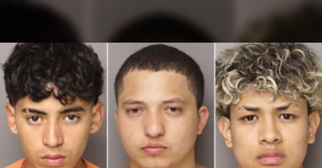 Disturbing Messages Among 6 Unauthorized Immigrants After Alleged Killing of SC Mom Reveal 'No Regret'