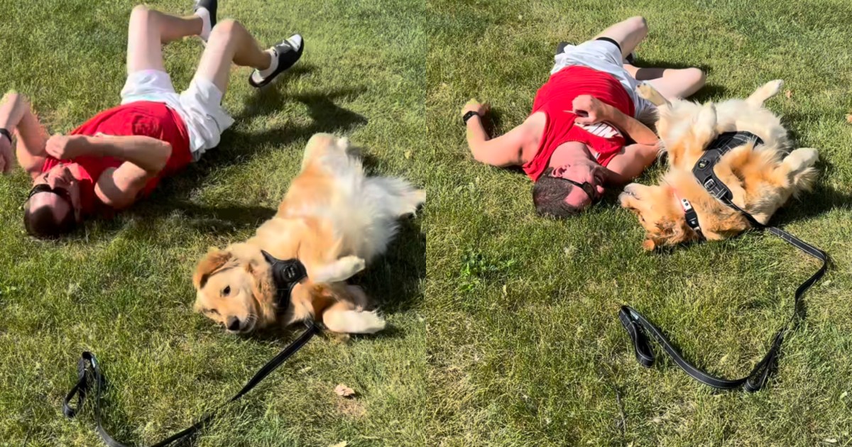 Dog Shows Father How to Enjoy Rolling in the Grass in Charming Clip