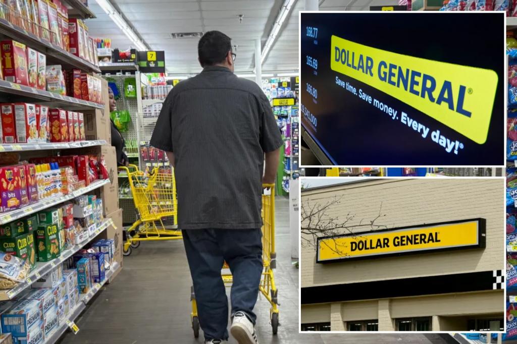 Dollar General raises sales outlook as concerns over tariffs drive shoppers to seek bargains