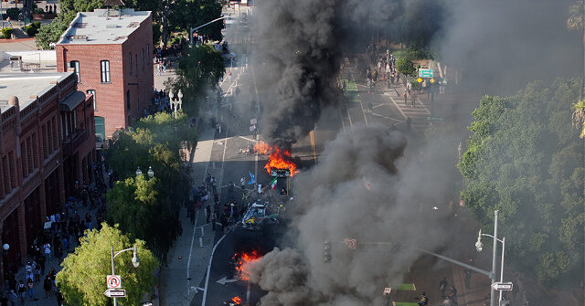 Elon Musk Addresses L.A. Riots: 'Not Acceptable'