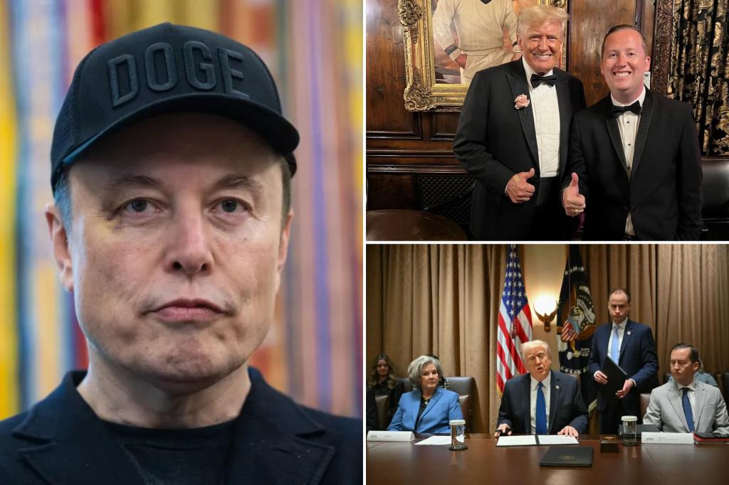 Elon Musk criticizes Trump’s personnel director Sergio Gor, calling him 'a snake.'