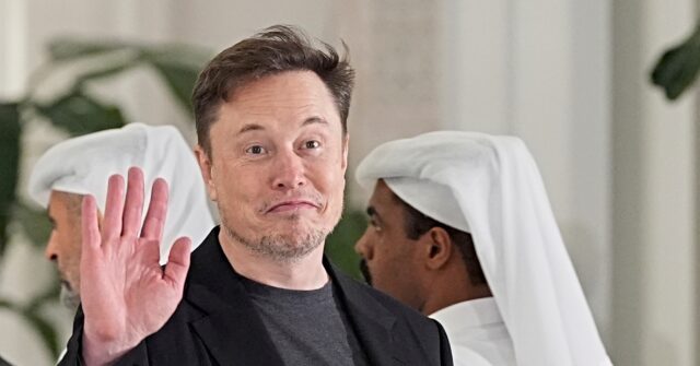 Elon 'Went Off the Deep End'