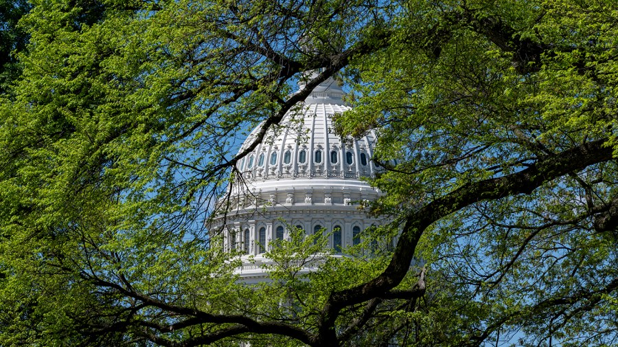 Entering the Biocene: The role of 'natural capitalism' in saving America and the globe