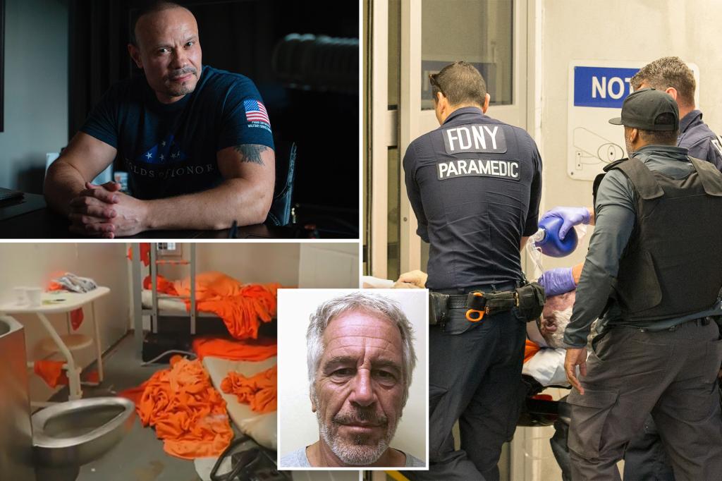 FBI deputy director verifies that Jeffrey Epstein took his own life according to the agency's records