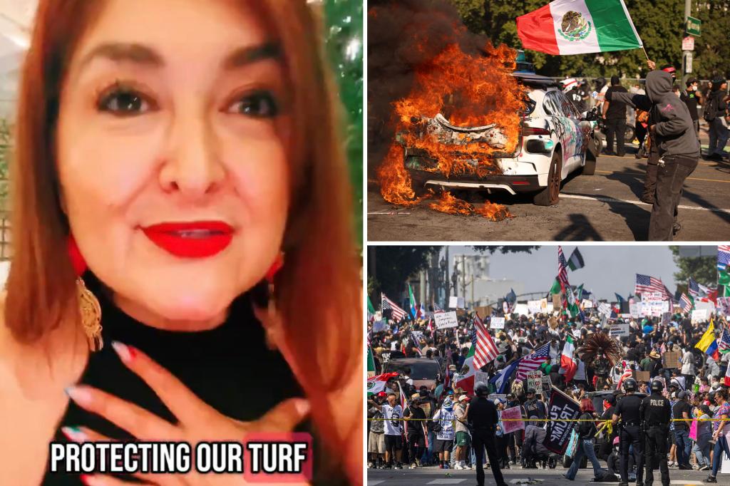 FBI investigating LA County official who called on gang members to 'defend our area' against ICE.