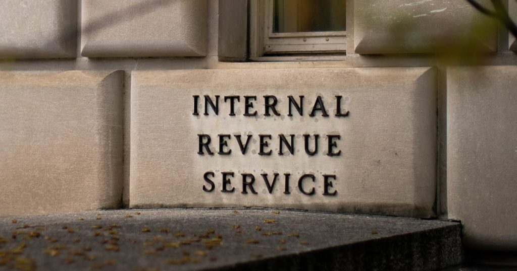 Federal authorities claim that a tax preparer's fraud in Georgia probably resulted in millions of dollars in losses for the country.