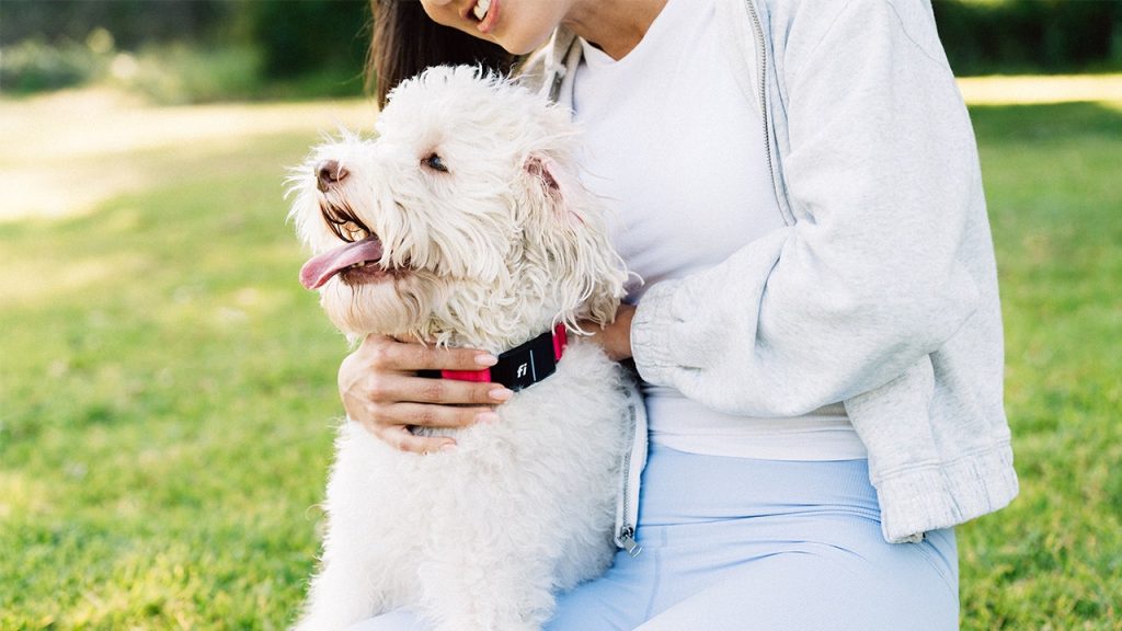 Fi introduces the first-ever AI dog collar that monitors health and location.
