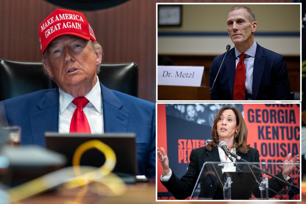 Former Clinton national security official says Kamala Harris 'lacked the courage' for the Iran strike