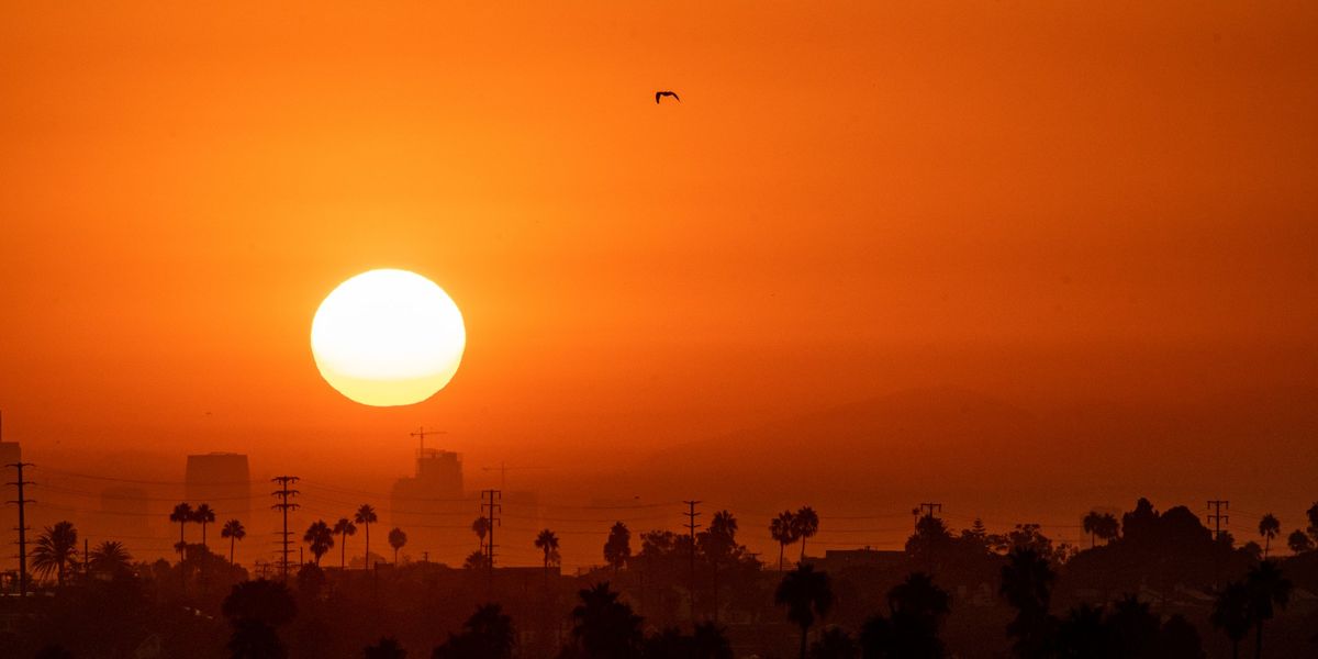 Freedom in California is growing — and the left cannot hinder it