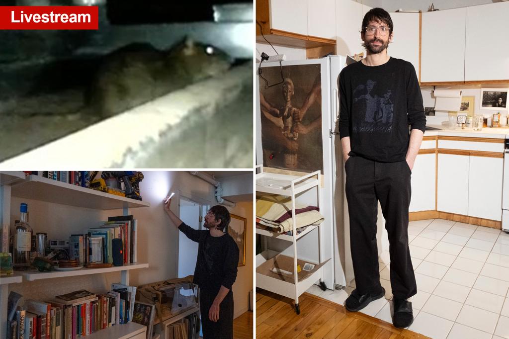 Frustrated NYC renter sets up a constant livestream of rats in his walls, the sight is keeping him awake at night