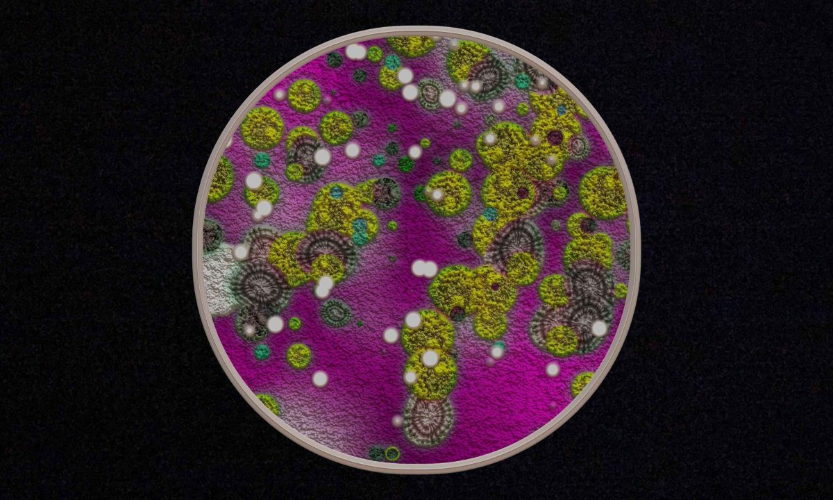 Fungus that consumes gold may assist in locating metals on Earth and in space.