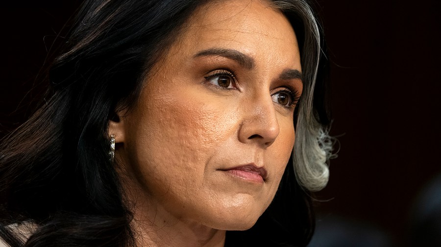 Gabbard's position in Trump's circle is now uncertain