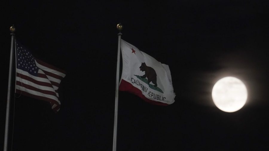 Gardeners allegedly apprehended by ICE agents while working outside a California house