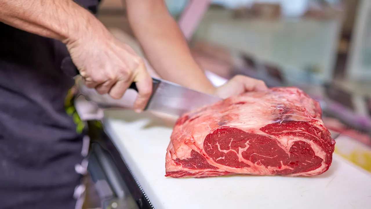 Girl passes away, 21 children become sick in France due to meat-related E. coli outbreak