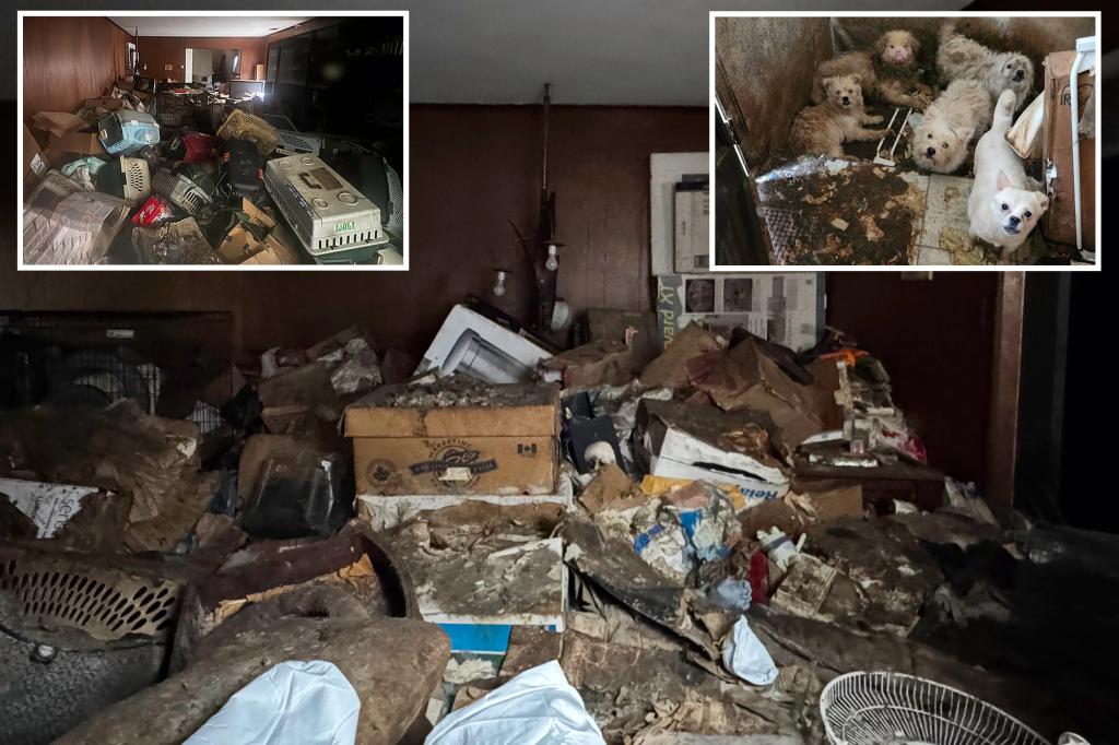 Graphic images reveal the terrible conditions of a hoarding house in Brooklyn where a woman was discovered deceased alongside 80 dogs.