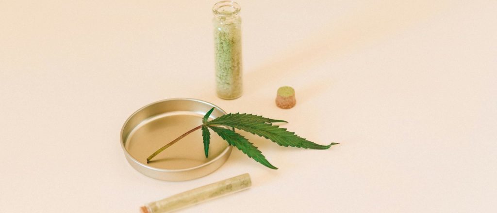 Guide to Legal Cannabis Seeds in the USA