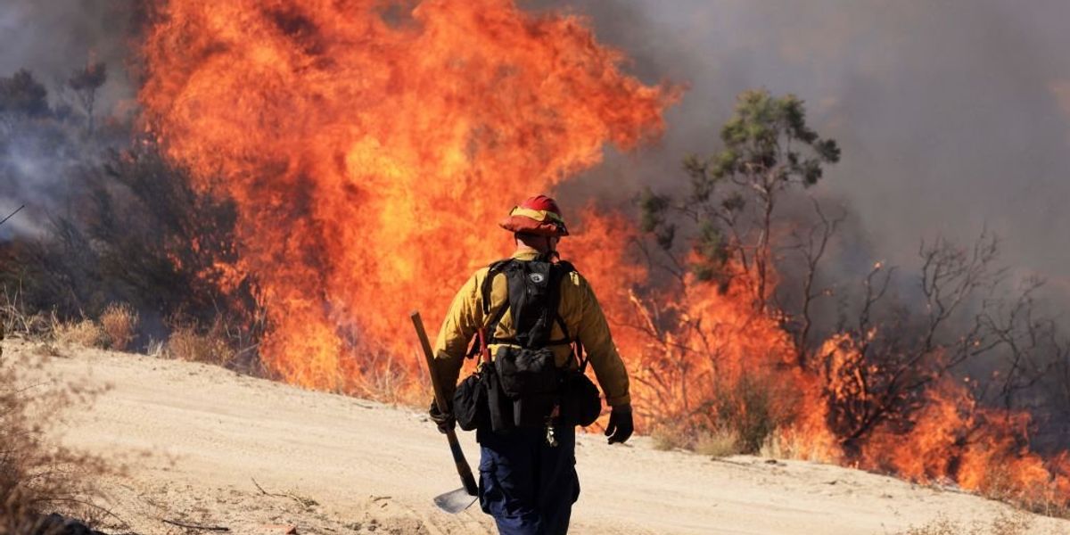 Gunman surprises Idaho firefighters who were responding to a wildfire