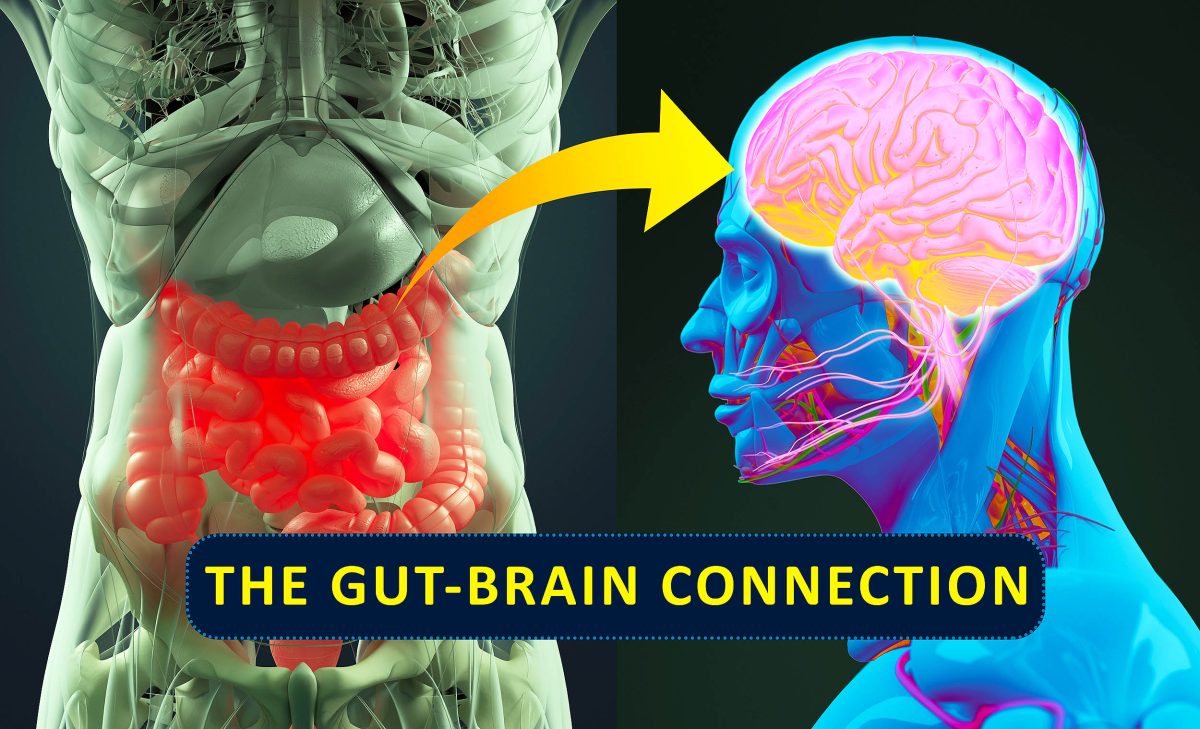 Gut bacteria may lead to depression, rather than a brain condition.