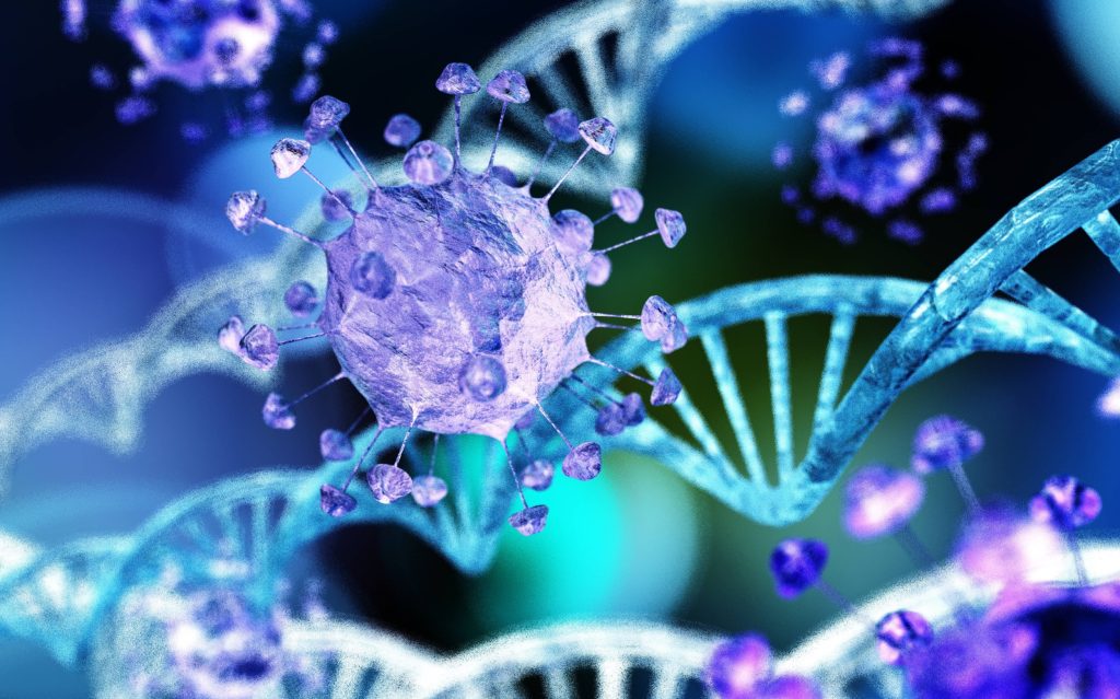 Herpes virus alters human DNA in just one hour after infection