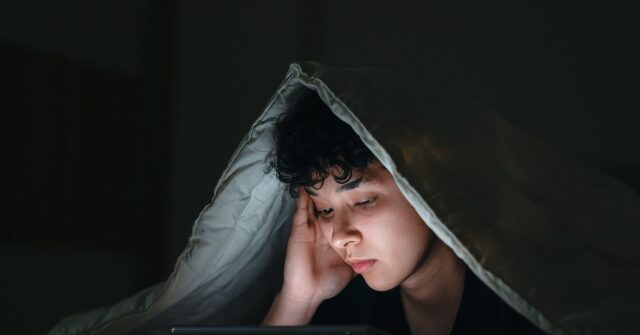 High Court Supports Texas Law Mandating Age Checks for Adult Websites