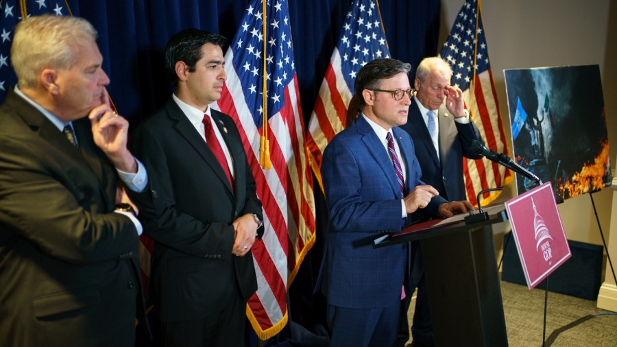 House GOP push to secure DOGE reductions meets opposition from fellow Republicans