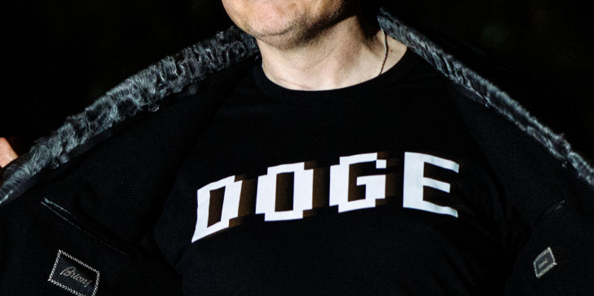 House Republicans share their genuine opinions on potential $5,000 DOGE payments