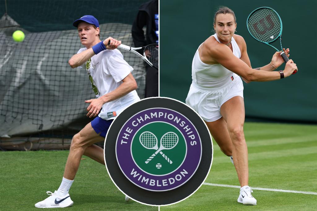 How to watch Wimbledon 2025 without cost: Schedule, live stream
