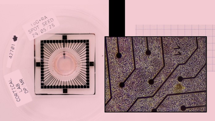 Inside the British laboratory developing a living computer