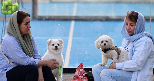 Iran Broadens Restrictions on Dog Walking, Citing 'Threat to Public Health, Peace, and Comfort'