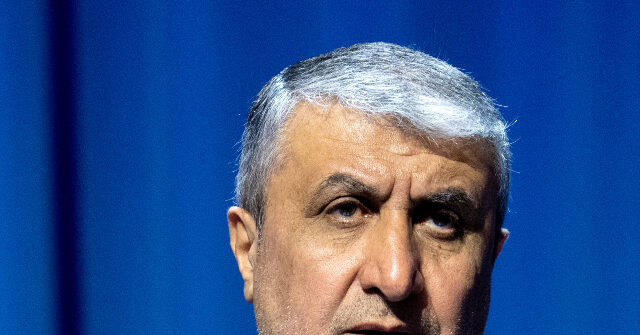 Iran's Atomic Energy Chief Aims to Revive Nuclear Industry After Airstrikes