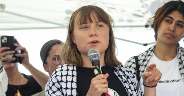 Israel Seizes Greta Thunberg's 'Selfie Yacht' and Distributes Sandwiches: 'The Show Has Ended'