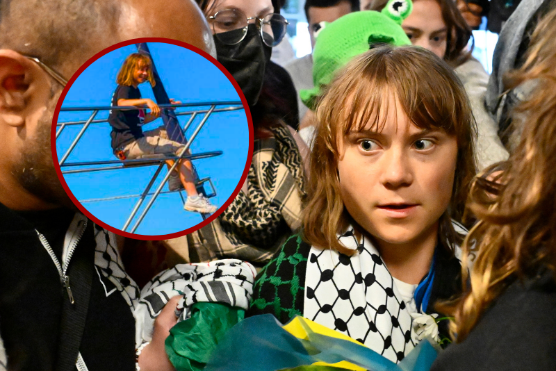 Israel expels Greta Thunberg after stopping the 'Selfie Yacht'