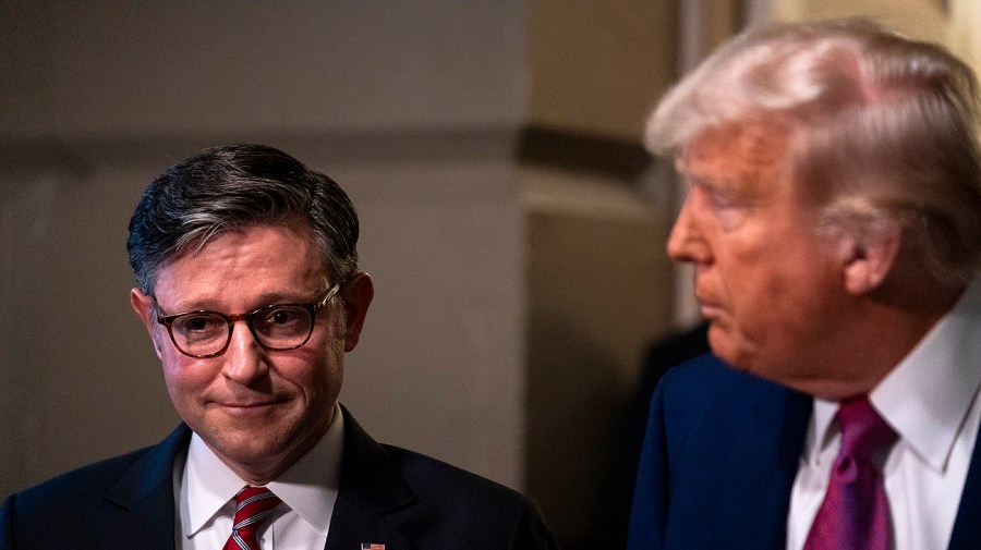 Johnson brushes off Musk campaign spending threats: 'It doesn't concern me'