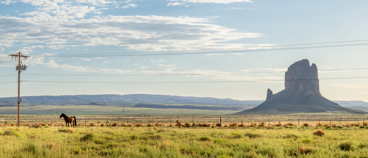 Justice Department Takes Steps to Control Federal Land Acquisitions