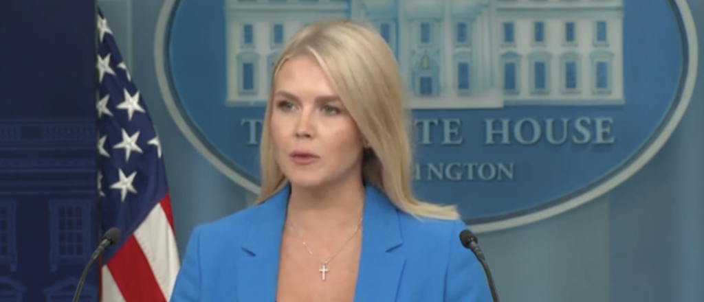 Karoline Leavitt Disagrees With Reporter Trying to Trip Her Up About Riots