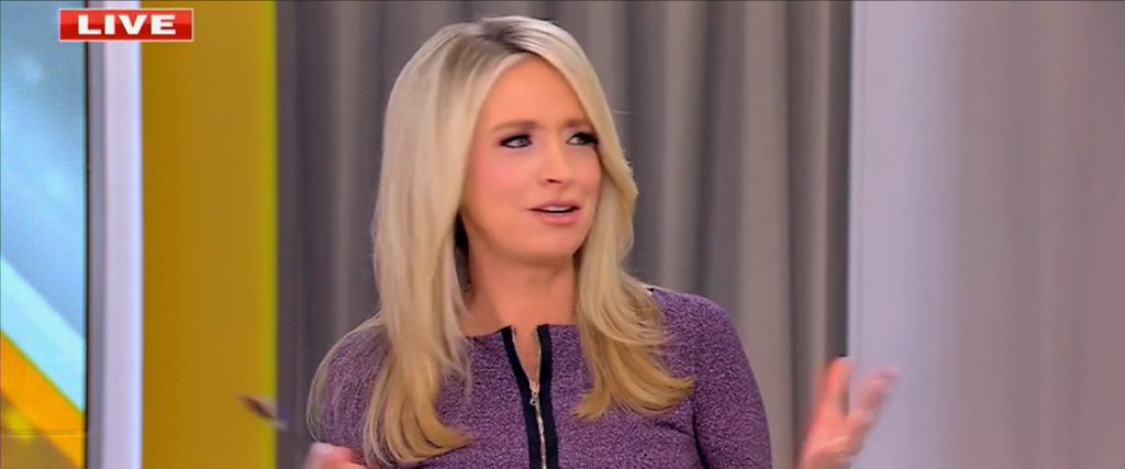 Kayleigh McEnany Highlights Similarities Among Arrested Democrats Engaging in 'Stunts and Nonsense'