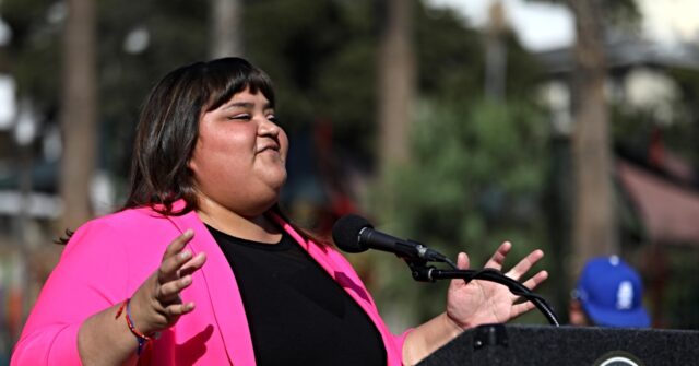 L.A. Democrat Calls on Progressives to Intensify Criticism of ICE