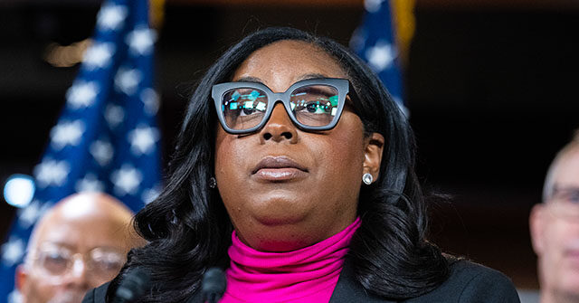 LaMonica McIver Plans to Plead Not Guilty Following Incident at ICE Facility